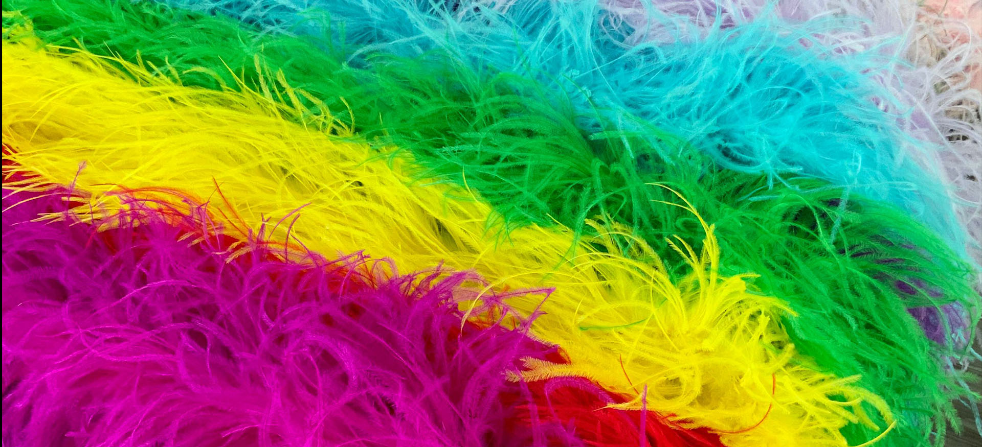 
Specialising in High Quality Ostrich Feathers
Support customising any colour you need