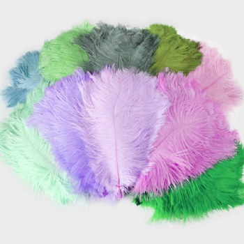 Ostrich Feather 10-100cm