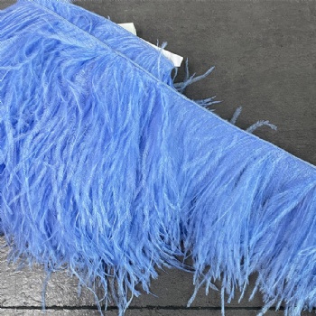 Ostrich Feather in Rope