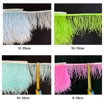 Ostrich Feather Sizes